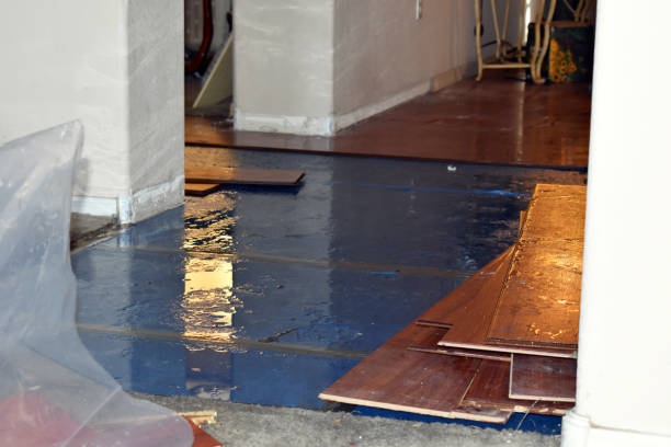 Professional Water Damage Restoration technician working in Phillips, WI